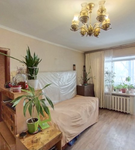 Объект №98233784