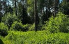 Объект №136845398