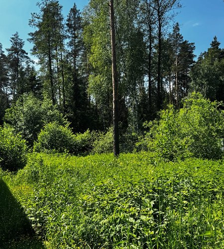 Объект №136845398