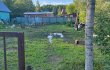 Объект №100398228