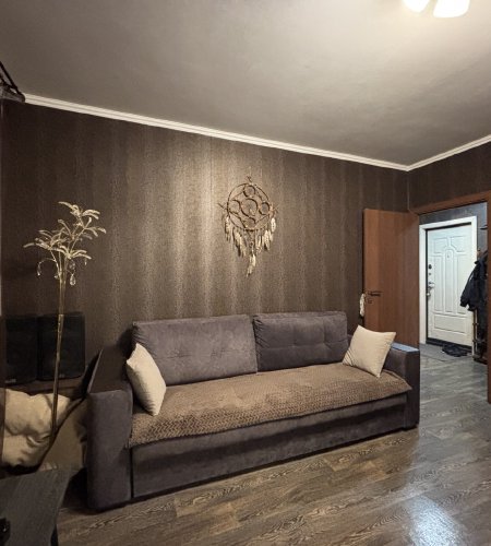 Объект №132210732