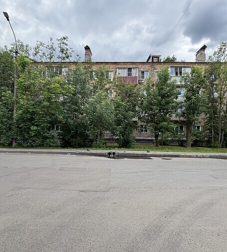 Объект №137077781