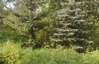 Продается дом
