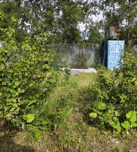 Объект №98644826