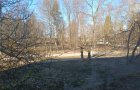 Объект №135274938