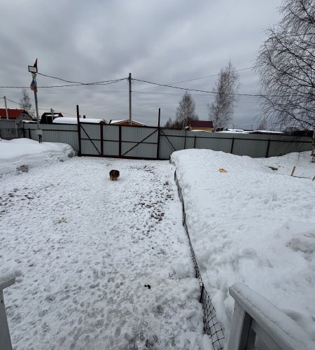 Объект №132603348