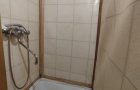 Объект №96831365