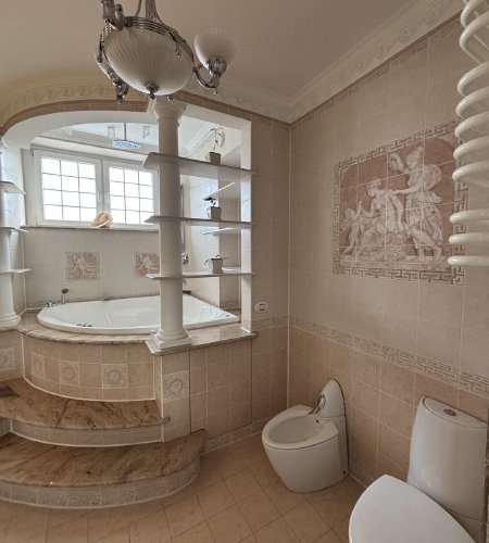 Объект №132437447