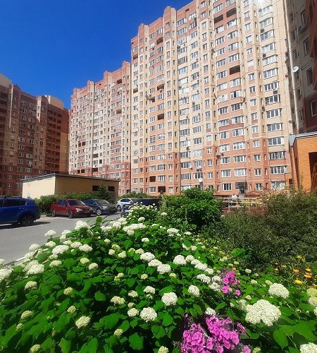 Объект №57680839