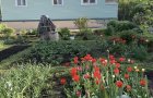 Объект №136842714