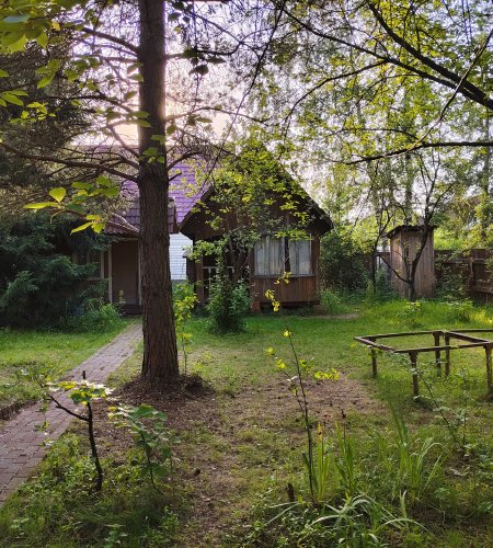 Объект №96831365