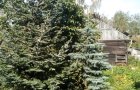 Продается дом