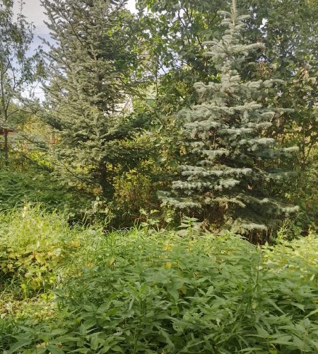 Объект №132203299