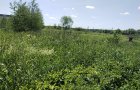 Объект №46427410