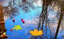 Средний чек однокомнатных квартир в октябре — 10,4 млн рублей